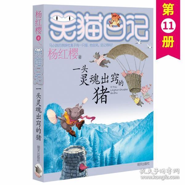 年味渐浓，南北热闹备年货